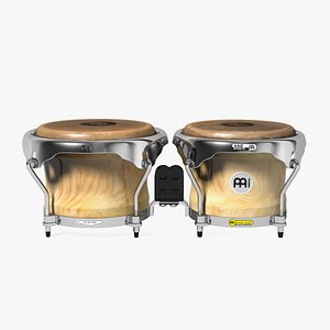 meinl bongo 3D model
