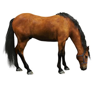 3D realistic horse