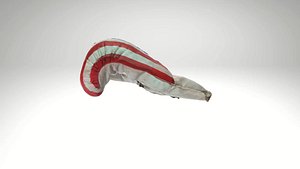 3D Boxing Glove  Sports Equipment 3D Model