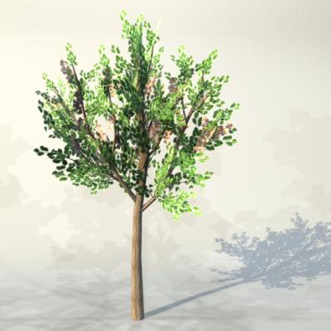 Pc Tree 3d Max