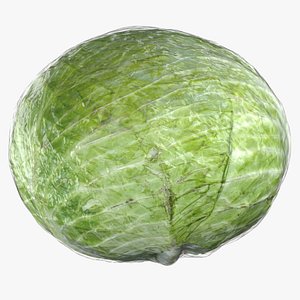 3D Cabbage 01 with Wrap