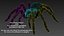 3D Black Tarantula model
