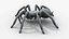 3D Black Tarantula model