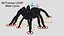 3D Black Tarantula model