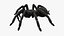 3D Black Tarantula model