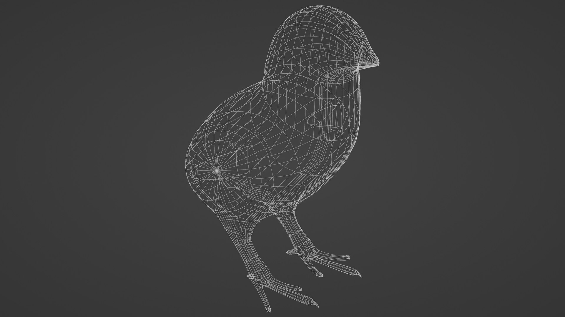 2xPack Stork obj Kiwi obj plus Blend model https://p.turbosquid.com/ts-thumb/JV/vCnWM7/ME/wire/jpg/1717970064/1920x1080/fit_q87/456334c17446564f76a0108bce8bb054cccdf8d7/wire.jpg