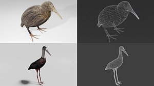 2xPack Stork obj Kiwi obj plus Blend