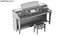Detailed Digital Piano