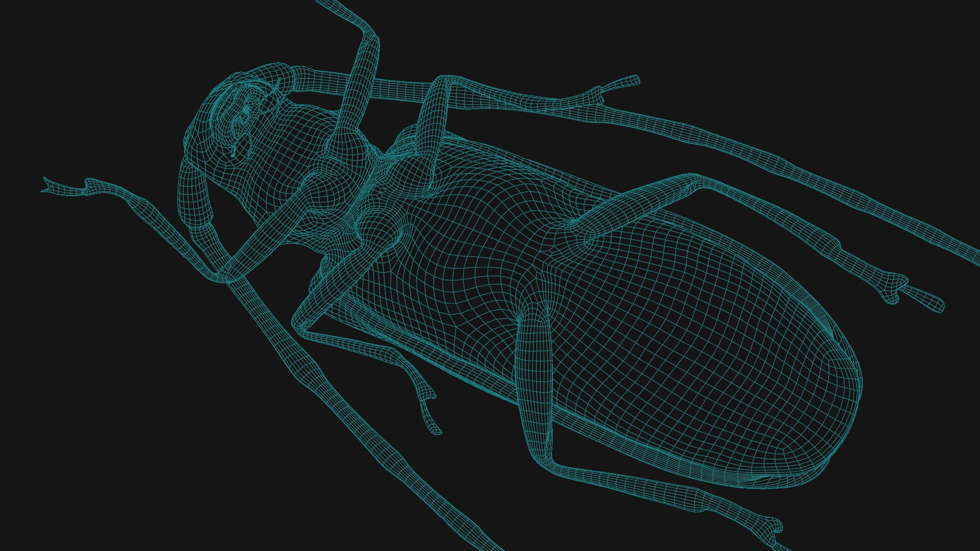 Free 3D Cockroach Model - TurboSquid 1765413