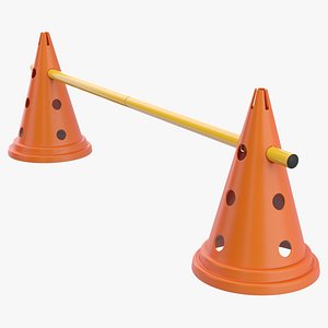 Training Cones 3D