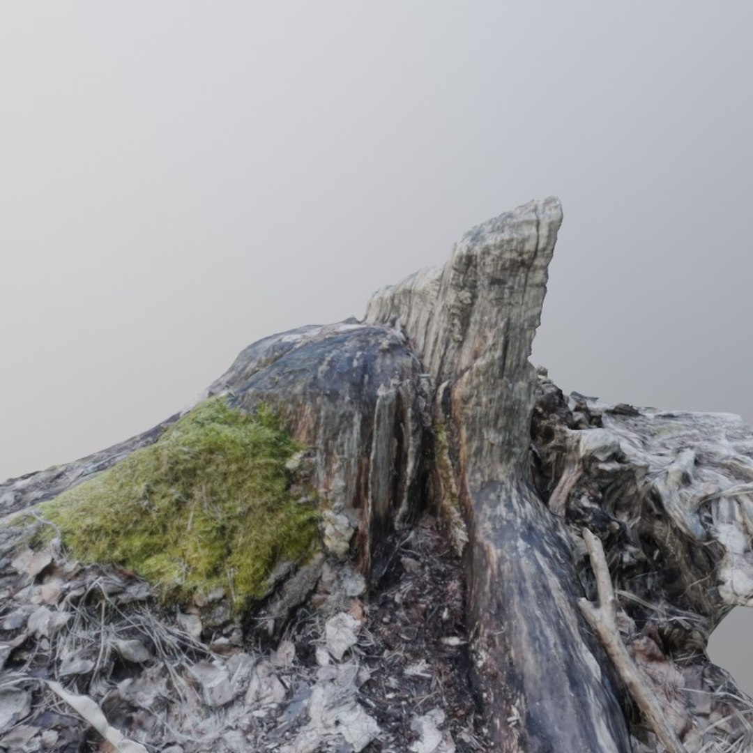 3D scanned stump model https://p.turbosquid.com/ts-thumb/JW/OaXXdH/AsOLB1xC/ico2jpg/jpg/1582101804/1920x1080/fit_q87/b9ead13f068076da31e2ad051fd2edbf00d2296d/ico2jpg.jpg