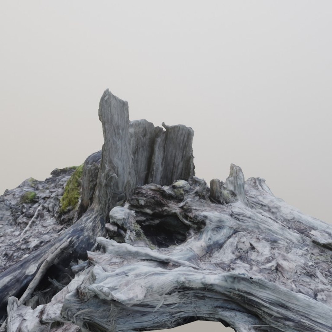 3D scanned stump model https://p.turbosquid.com/ts-thumb/JW/OaXXdH/VEUWffuD/ico3/jpg/1582101820/1920x1080/fit_q87/c69b7eec846ac1233c6eec406dc6f885df551ba7/ico3.jpg