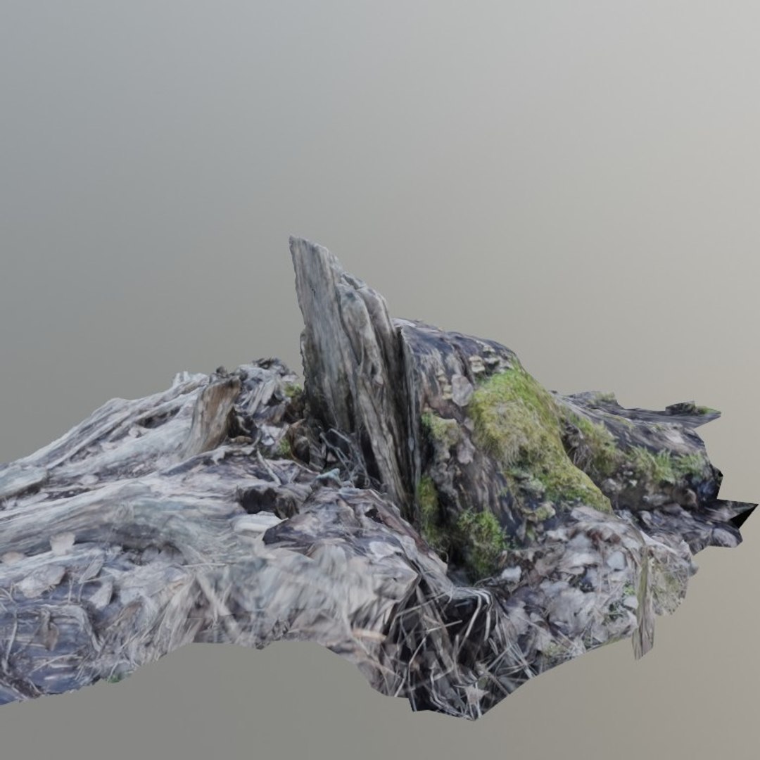 3D scanned stump model https://p.turbosquid.com/ts-thumb/JW/OaXXdH/qYk0oYnF/ico4/jpg/1582101828/1920x1080/fit_q87/7a83a01bd335c01df9917d2b24a19a4cb205899c/ico4.jpg