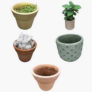 Plant Pot Collection 03 3D model