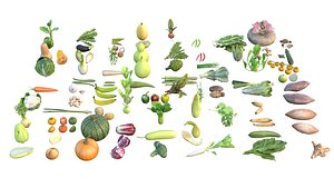 Vegetable 3d model collection model