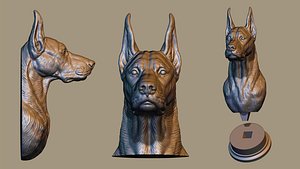Doberman Dog Head 3D model