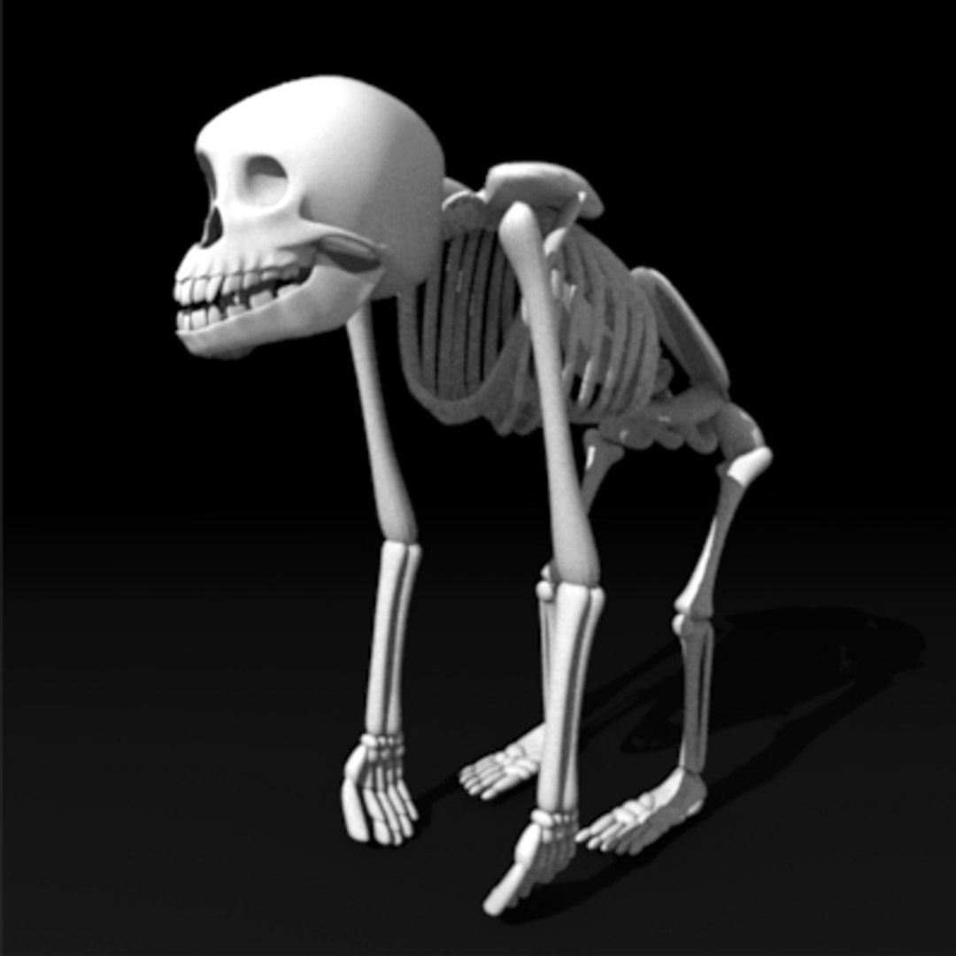 3dsmax chimpanzee skeleton organs https://p.turbosquid.com/ts-thumb/JW/vlAdRY/3atbtUKs/skeleton/jpg/1158793011/1920x1080/fit_q87/de531b9fcf2760e5cc0c226e310d1333a5611109/skeleton.jpg