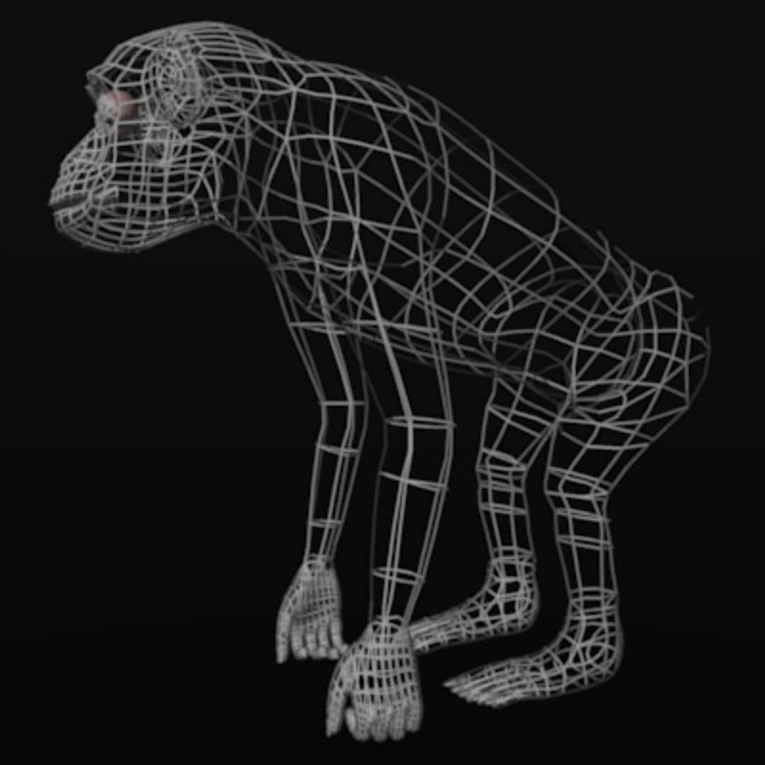 3dsmax chimpanzee skeleton organs https://p.turbosquid.com/ts-thumb/JW/vlAdRY/fZgVh1zg/chimpanzeewire/jpg/1158792896/1920x1080/fit_q87/625cd6d48aeaa9fae549cbdd36fd7254d9c8f42a/chimpanzeewire.jpg