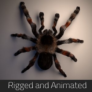 3D tarantula rigged