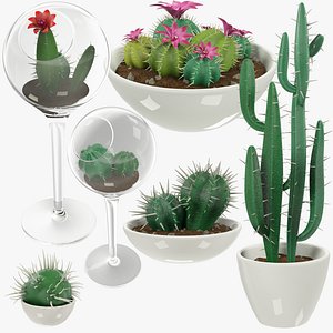 Cactuses in Pot Collection V1