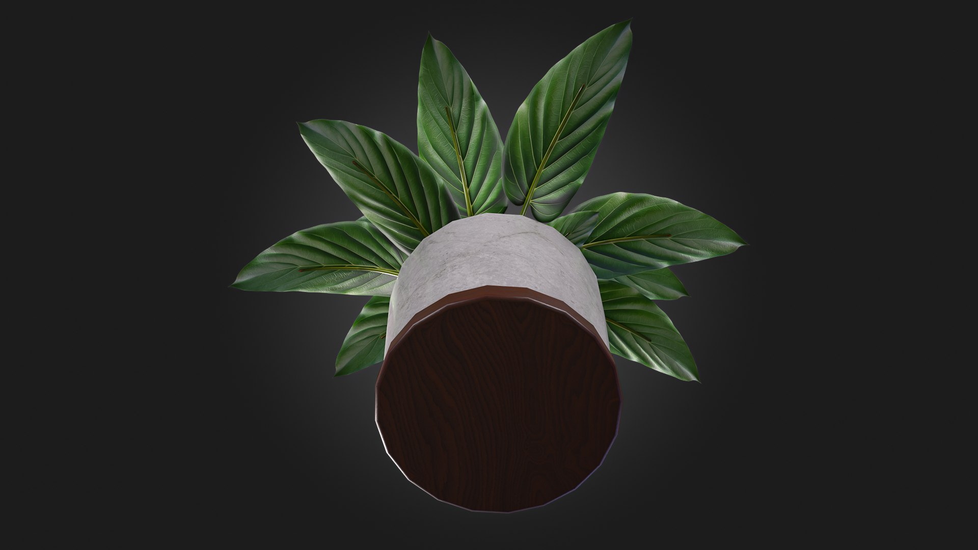 3D Plant model https://p.turbosquid.com/ts-thumb/JX/Zvi3fe/XQ/img_6/jpg/1716415411/1920x1080/fit_q87/e5eb6f5333987d99fc44fc6e4ea1e78fc0a8c18b/img_6.jpg