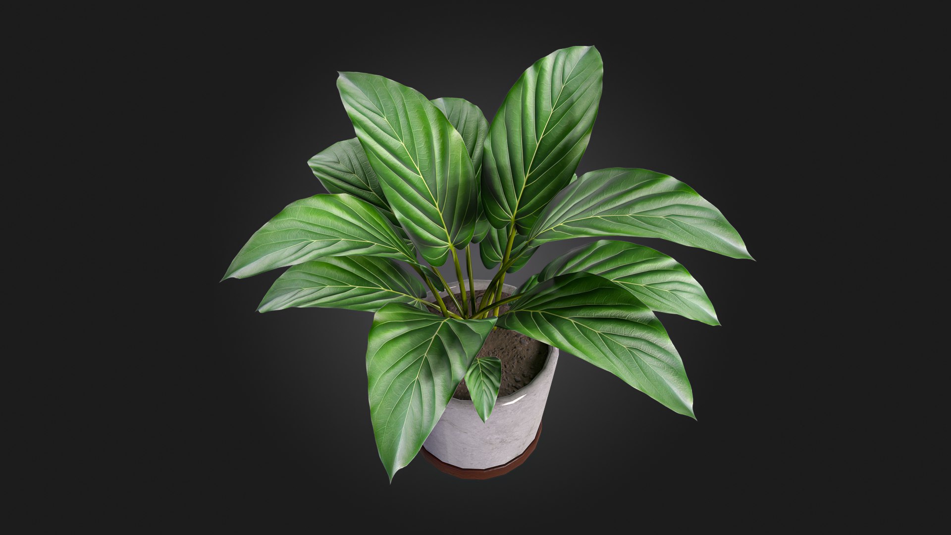 3D Plant model https://p.turbosquid.com/ts-thumb/JX/Zvi3fe/sw/img_4/jpg/1716415410/1920x1080/fit_q87/2c872668cbb4866d1fadba70c4bffa91a465b8f9/img_4.jpg
