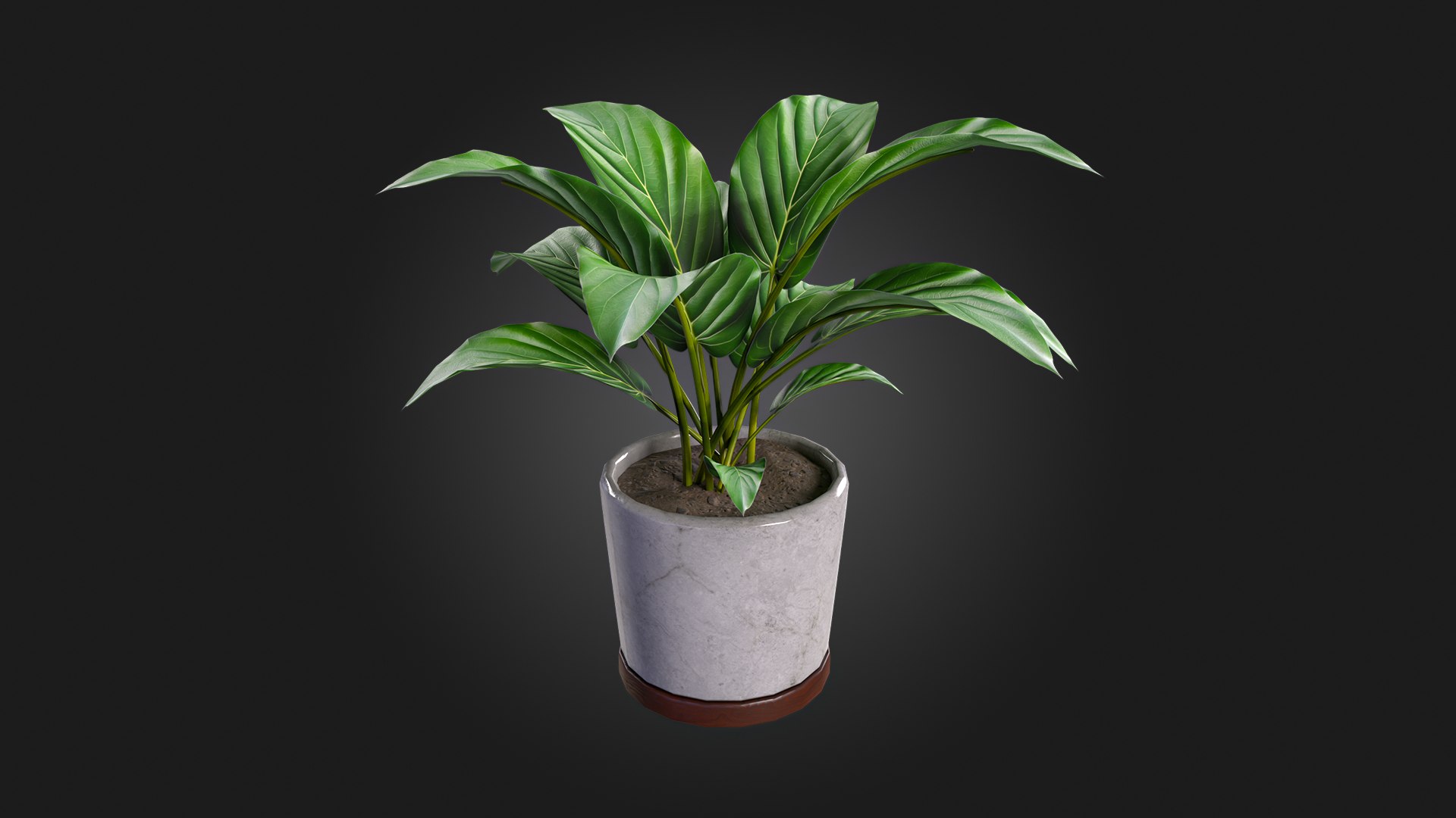 3D Plant model https://p.turbosquid.com/ts-thumb/JX/Zvi3fe/xy/img_2/jpg/1716415409/1920x1080/fit_q87/e91ffb4f2bc8a11585ba52306cdfa6a1e25c08ee/img_2.jpg