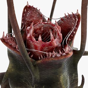 3D Plant Monster