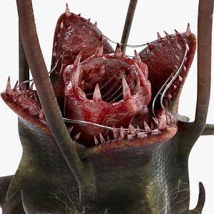 Plant Monster