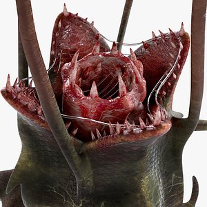 Plant Monster
