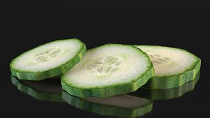 cucumber slice 3D model
