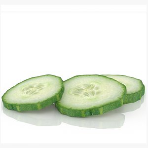 cucumber slice 3D model