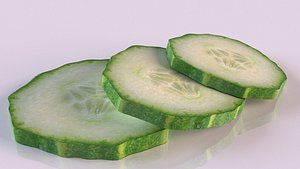 cucumber slice 3D model