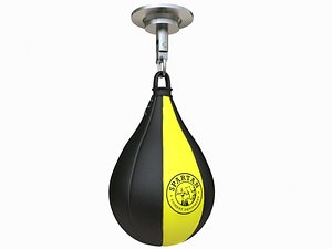 punch bag max