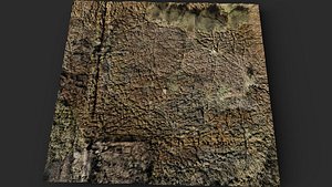 terrain patch wild high grass area PBR photogrammetry 3D