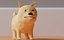 Shiba inu pies japoński