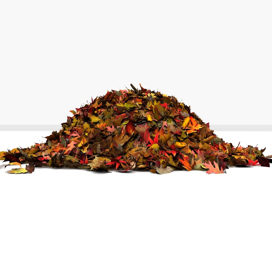 leaves pile 3d 3ds https://p.turbosquid.com/ts-thumb/JY/83p1ty/K6XKM71F/05/jpg/1350406944/1920x1080/fit_q87/04d6a8f94b4aa155f7ae95f7e142fa5bf81e6aeb/05.jpg