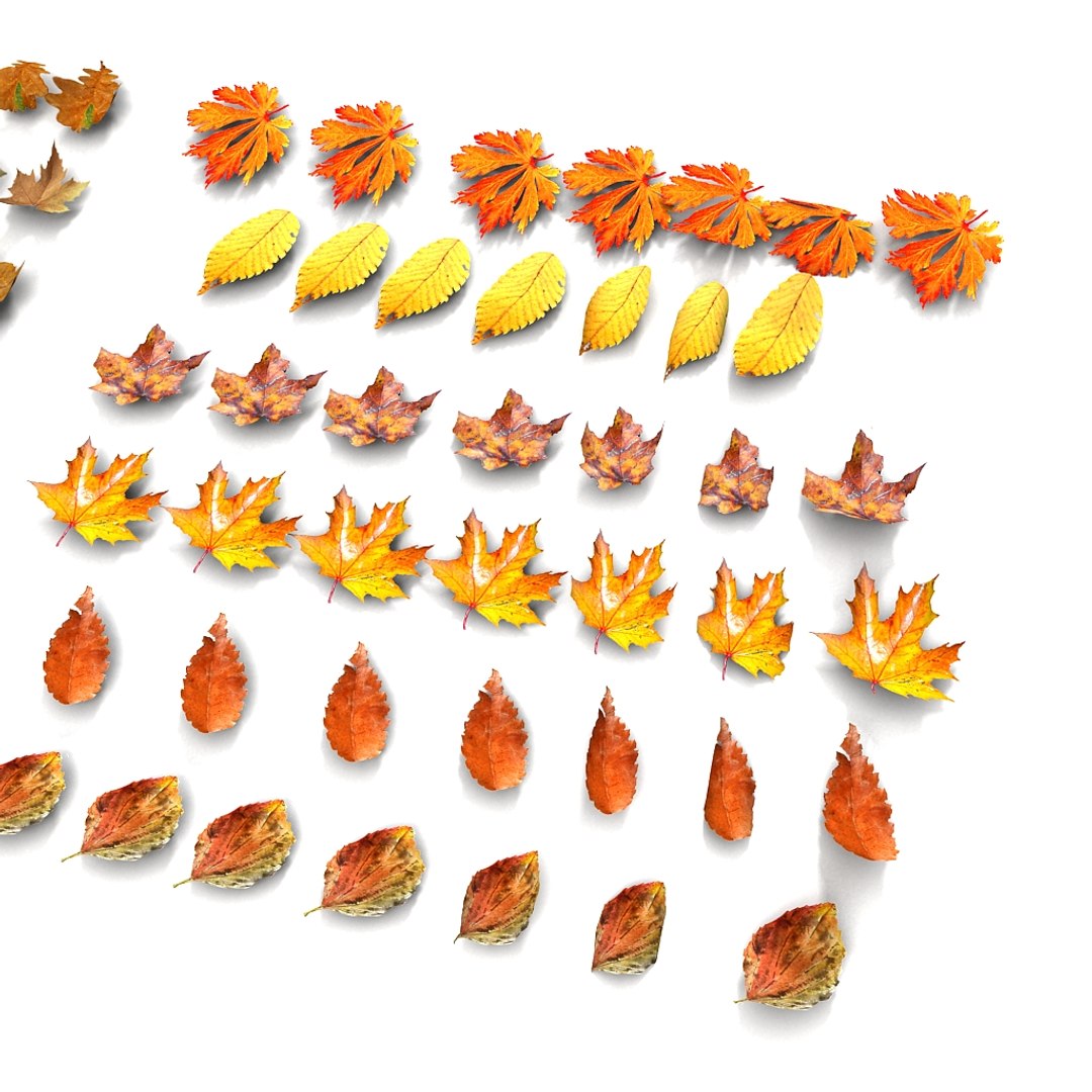 leaves pile 3d 3ds https://p.turbosquid.com/ts-thumb/JY/83p1ty/KBG7hyc6/05/jpg/1351333601/1920x1080/fit_q87/8385d67c25f1c8d080f50a9f52c31103941643d3/05.jpg