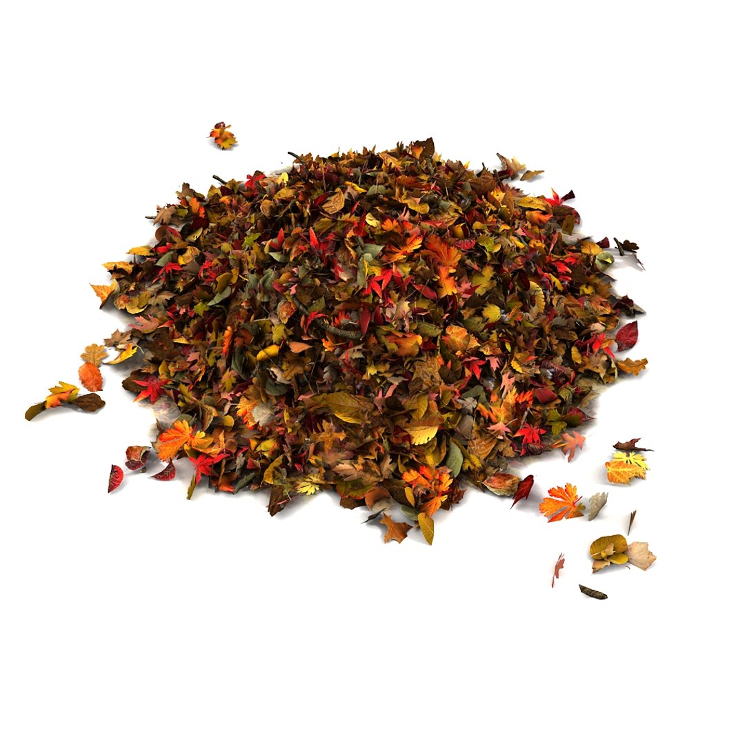 leaves pile 3d 3ds https://p.turbosquid.com/ts-thumb/JY/83p1ty/ZQiU1vaE/04/jpg/1350406944/1920x1080/fit_q87/43d887a4f3d2a077969d8692330ebf0bf421c2a4/04.jpg