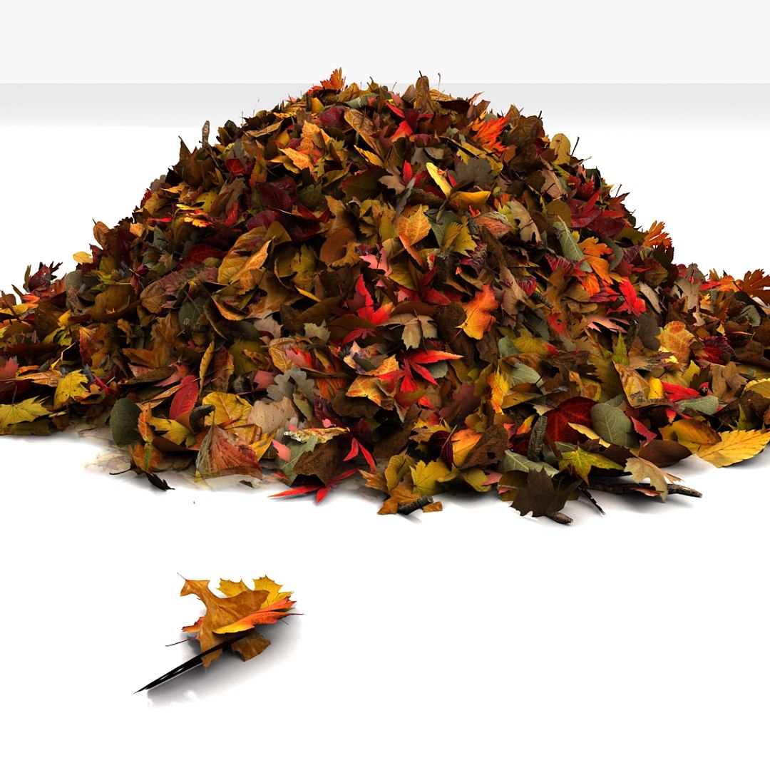 leaves pile 3d 3ds https://p.turbosquid.com/ts-thumb/JY/83p1ty/gHquPIhw/03/jpg/1350406944/1920x1080/fit_q87/de83fb42adaa2413dfefc2d68ab4424cf6734c42/03.jpg