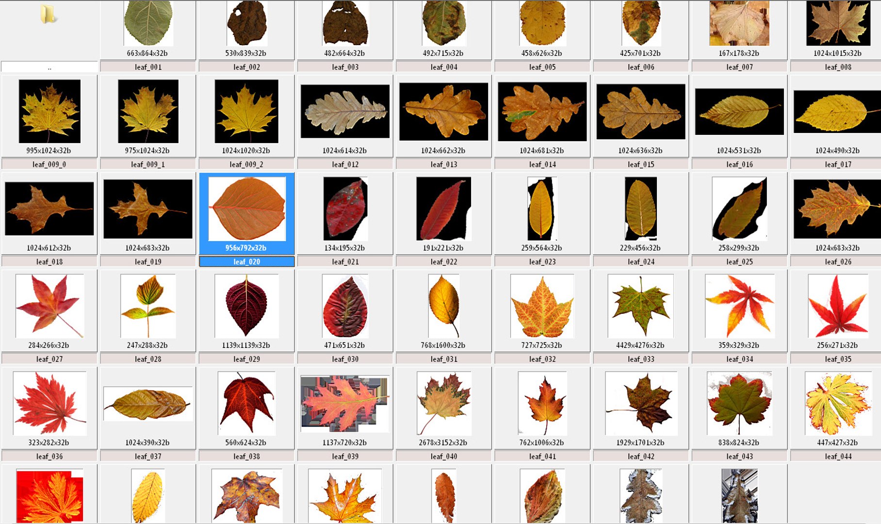 leaves pile 3d 3ds https://p.turbosquid.com/ts-thumb/JY/83p1ty/gru2gWRa/leavestexturesallpreviews/jpg/1351333755/1920x1080/fit_q87/14a3bfb1c70be181b000b4153fe5d46a05b8c10a/leavestexturesallpreviews.jpg