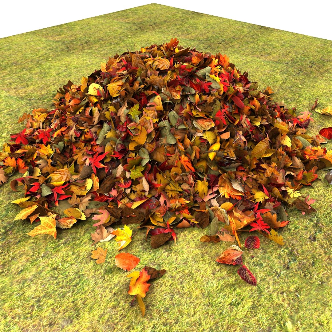 leaves pile 3d 3ds https://p.turbosquid.com/ts-thumb/JY/83p1ty/lgUWbhQ5/z01/jpg/1350335432/1920x1080/fit_q87/d4480cb92f2a09a453164318948d10bd9f7c1695/z01.jpg