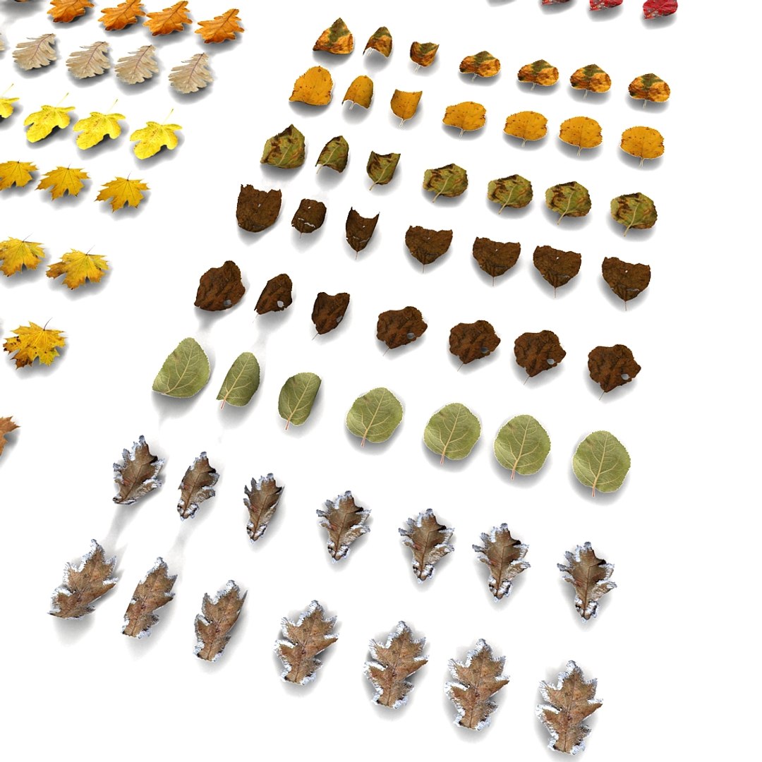 leaves pile 3d 3ds https://p.turbosquid.com/ts-thumb/JY/83p1ty/p6AGlSLU/02/jpg/1351333599/1920x1080/fit_q87/6986a922c756face6887a4916a4eb5b6a5cac85f/02.jpg