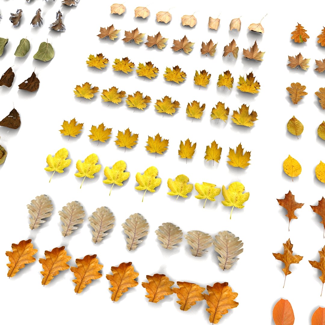 leaves pile 3d 3ds https://p.turbosquid.com/ts-thumb/JY/83p1ty/tRQ1v5if/03/jpg/1351333601/1920x1080/fit_q87/aa7c78c9634c767f03baed0ee30e6e038255e834/03.jpg