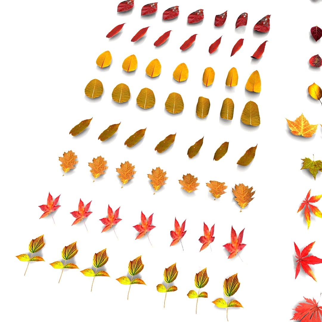leaves pile 3d 3ds https://p.turbosquid.com/ts-thumb/JY/83p1ty/yRd4V44G/06/jpg/1351333601/1920x1080/fit_q87/465275c15f665f389ad5e305a1559269d35e1e0b/06.jpg