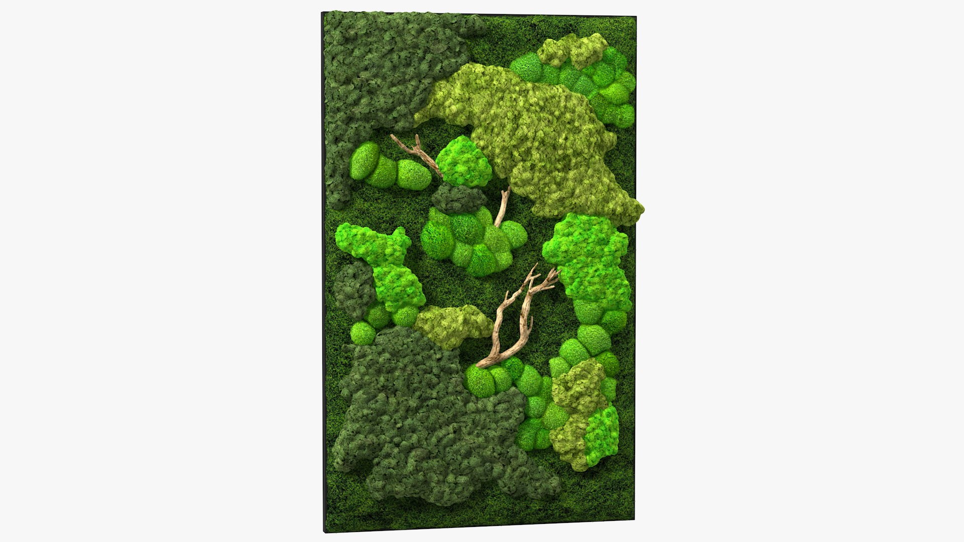 Indoor Plantscape Moss Wall Fur 3D model preview