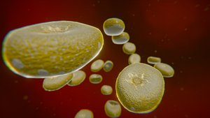 science bacteria model