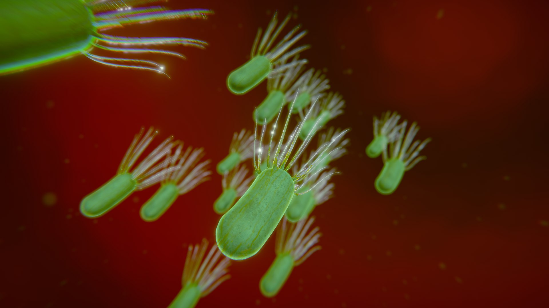 Science Bacteria Model - TurboSquid 1431624