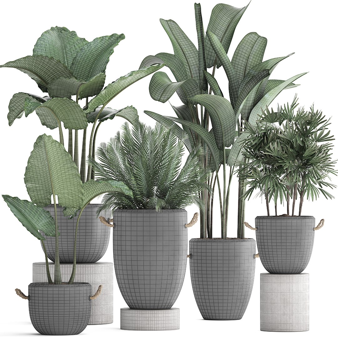 3D plants exotic palm potted model https://p.turbosquid.com/ts-thumb/JY/Hbq7AE/cJut9n2H/plant2511201908/jpg/1574774270/1920x1080/fit_q87/e4442389cf27671a7a984d31ef39d40a0ff89ace/plant2511201908.jpg