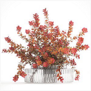 Realistic bouquet autumn flowers barberry branches vase 629 model